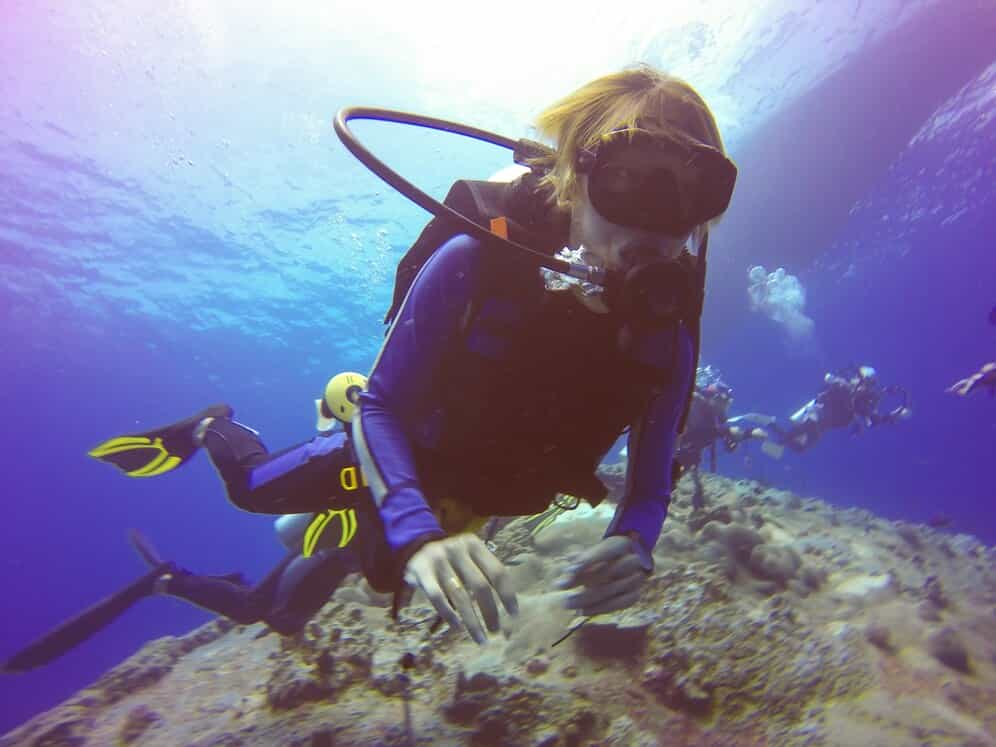 Top Scuba Diving Tours to Explore in 2024