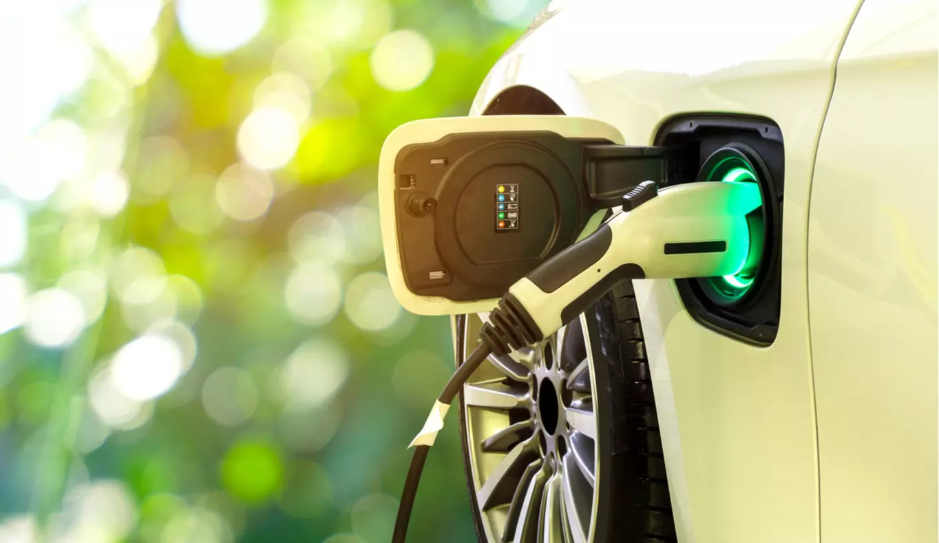 Eco-Conscious Consumers Driving EV Adoption